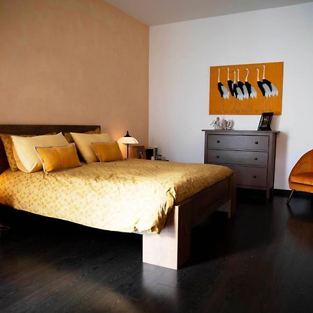 Sound Of Colors - Art Design Apartment Desenzano del Garda Exterior foto